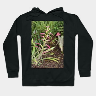 Bromeliads Hoodie